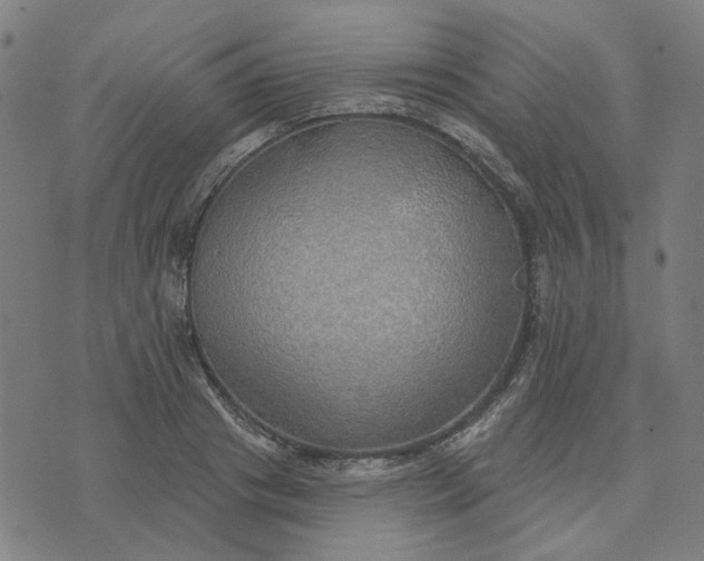 X0000074260841200609081734