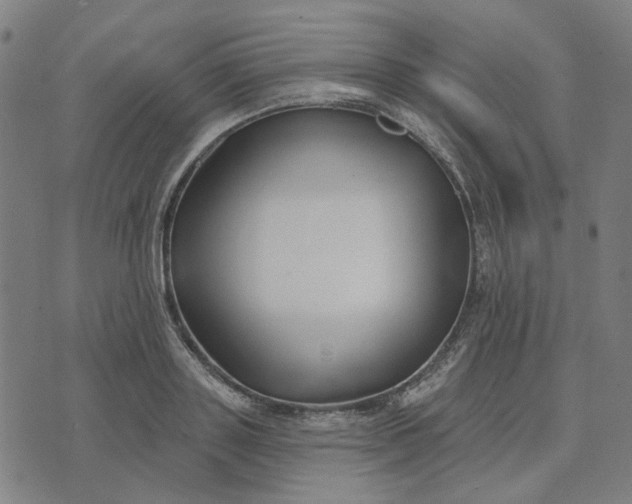 X0000074260843200609081734