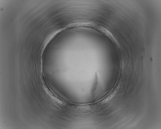 X0000074260844200609081734