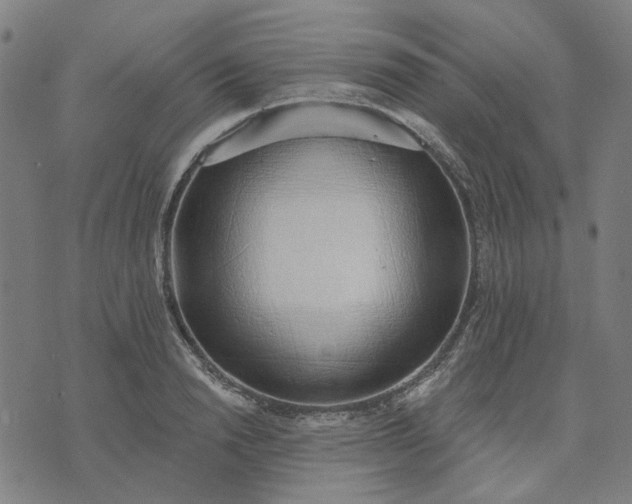 X0000074260846200609081734