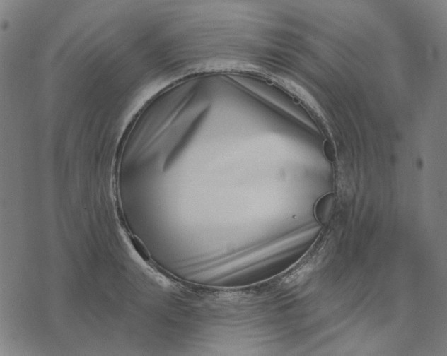 X0000074260847200609081734