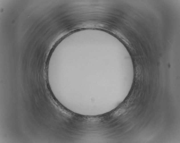 X0000074260848200609081734