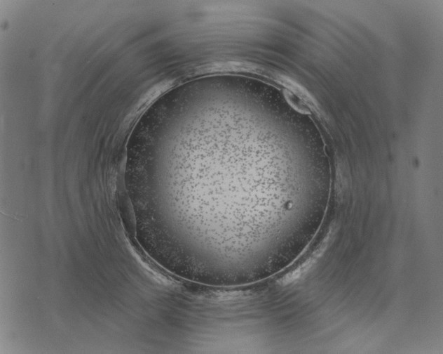 X0000074260849200609081734