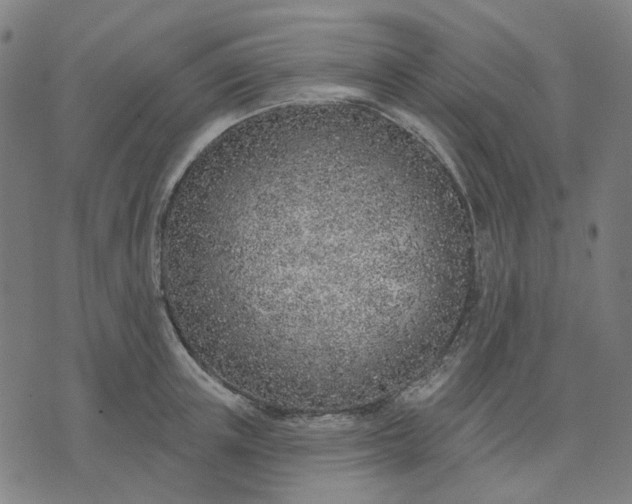 X0000074260851200609081734