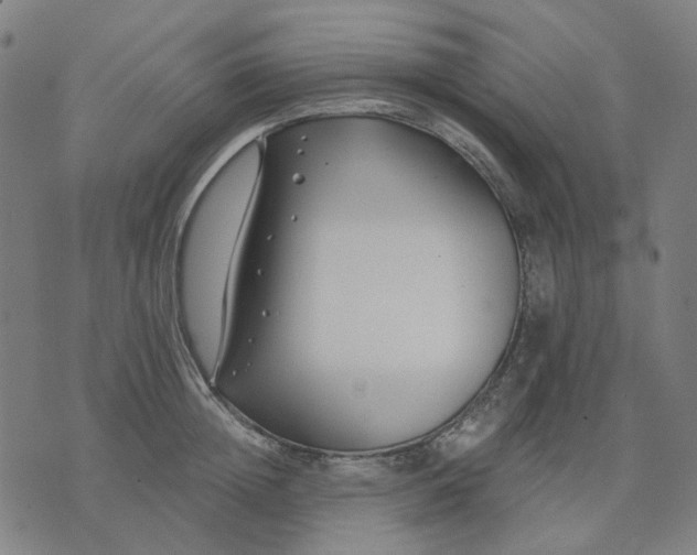 X0000074260852200609081734