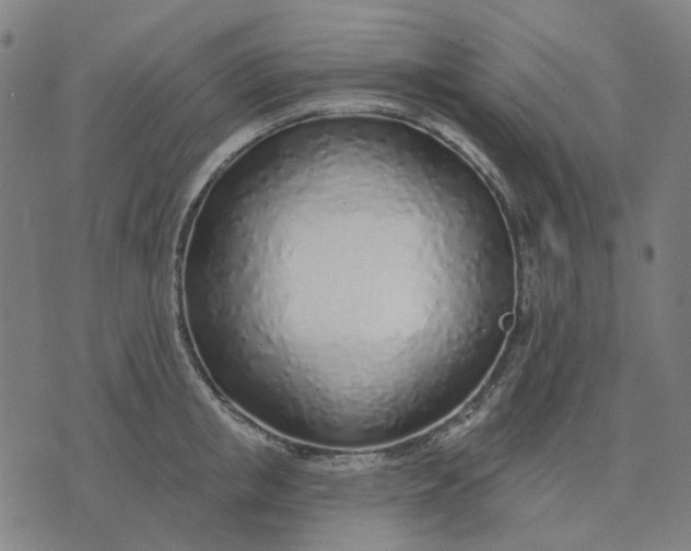 X0000074260853200609081734