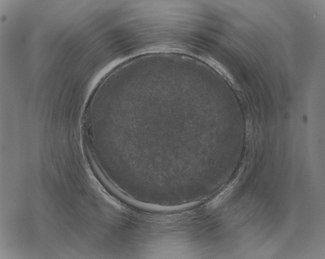 X0000074260854200609081734