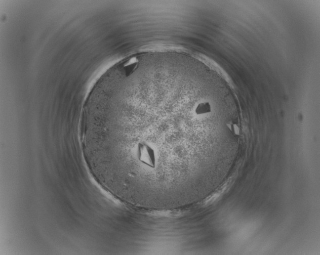 X0000074260855200609081734