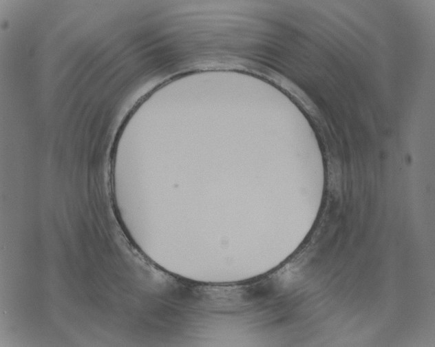 X0000074260856200609081734