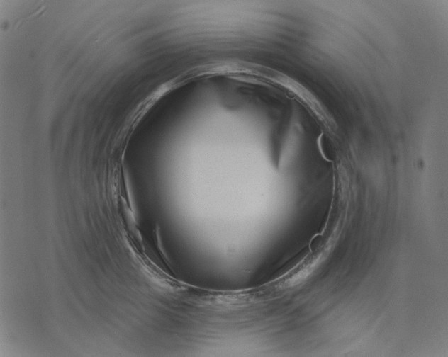 X0000074260857200609081734