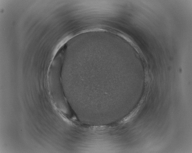 X0000074260858200609081734