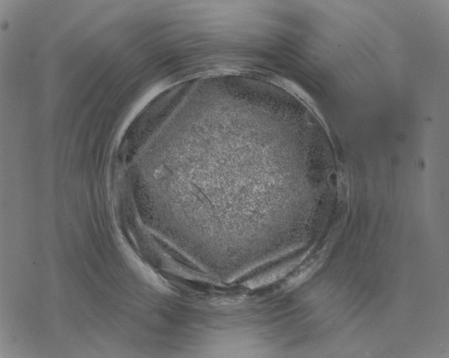 X0000074260859200609081734