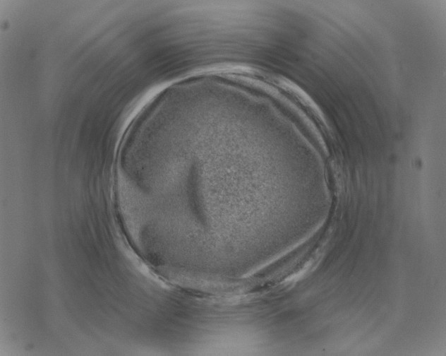 X0000074260860200609081734