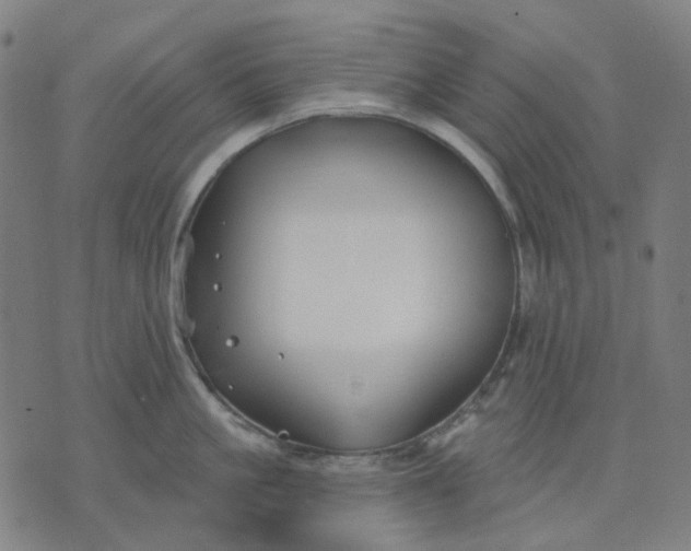 X0000074260861200609081734