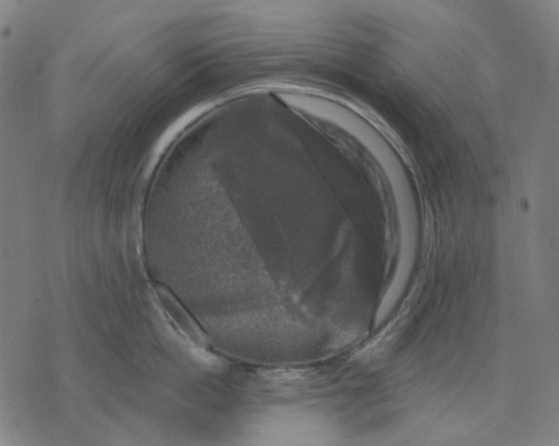 X0000074260862200609081734