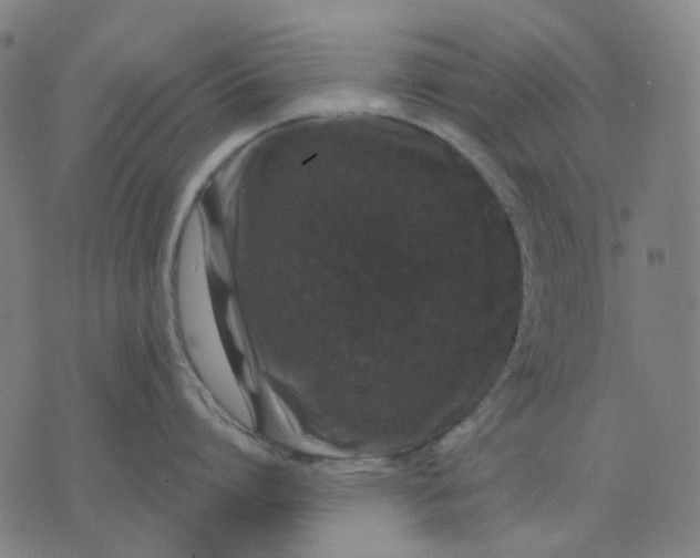 X0000074260864200609081734