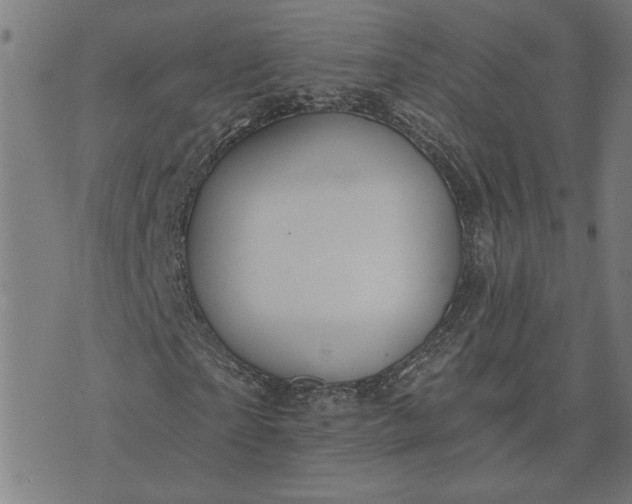 X0000074260865200609081734