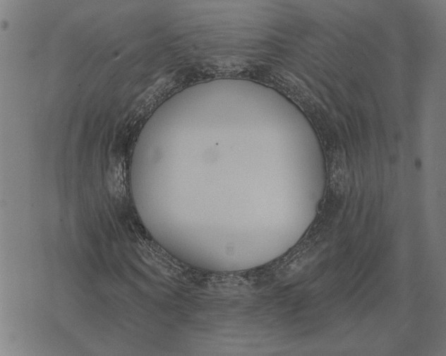 X0000074260866200609081734