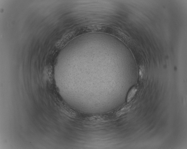 X0000074260867200609081734