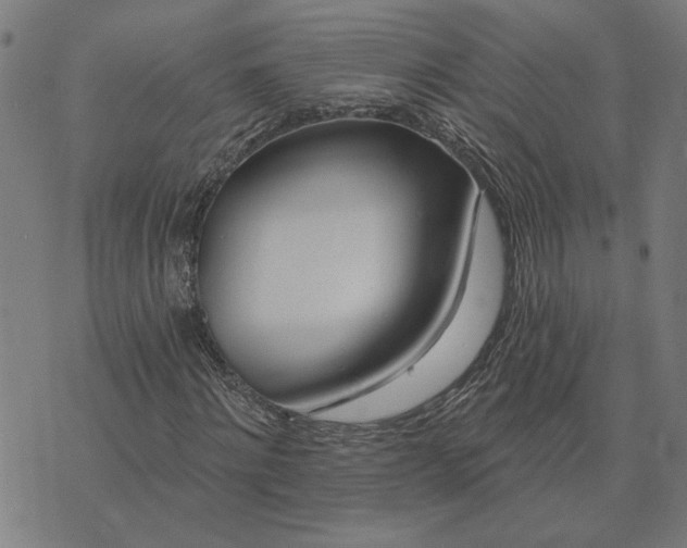 X0000074260868200609081734