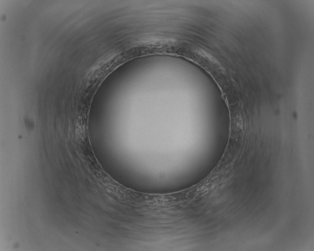 X0000074260869200609081734