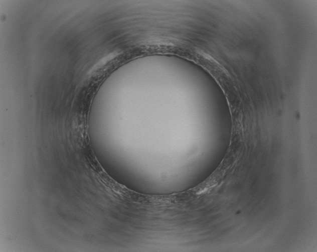 X0000074260870200609081734