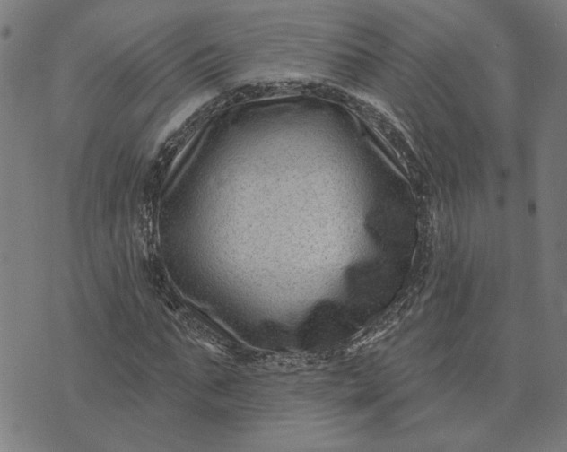 X0000074260871200609081734