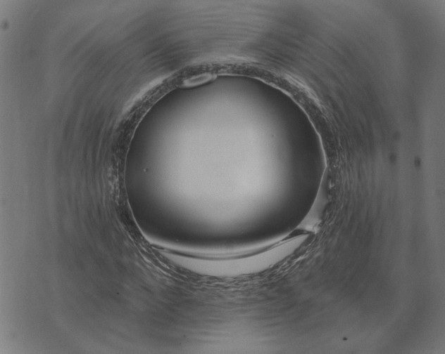 X0000074260872200609081734