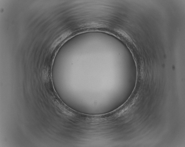 X0000074260873200609081734