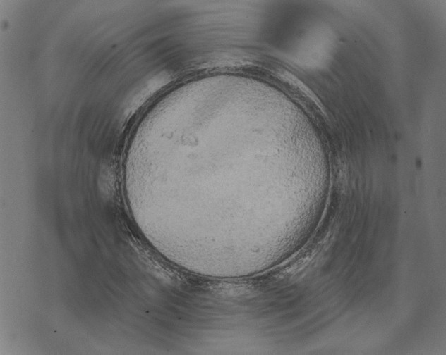 X0000074260874200609081734