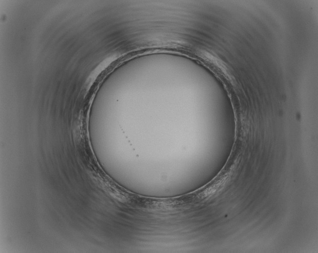 X0000074260875200609081734