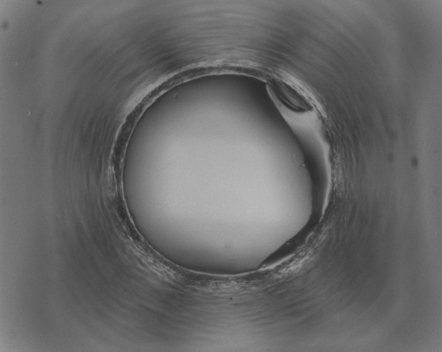 X0000074260876200609081734