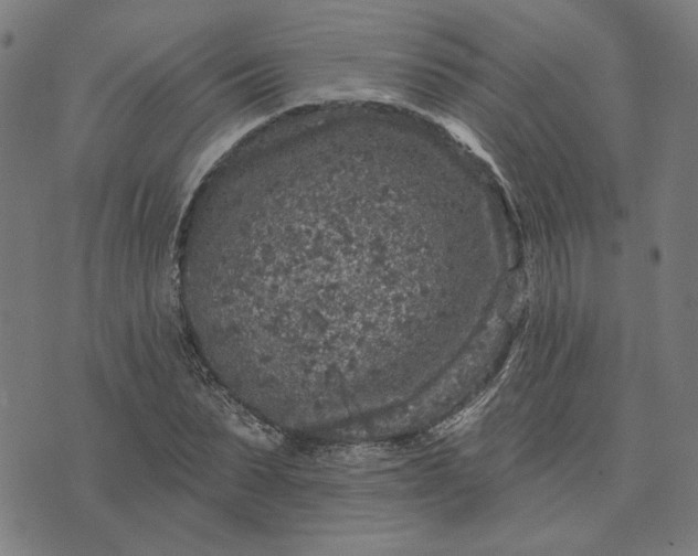 X0000074260879200609081733