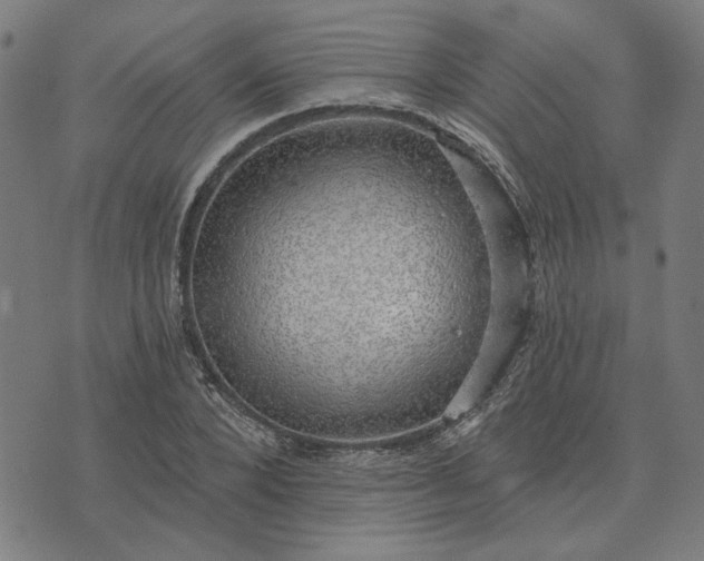 X0000074260880200609081733