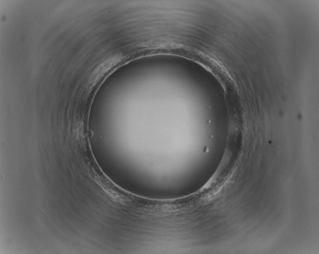 X0000074260881200609081733