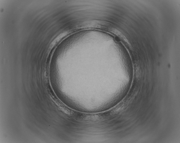 X0000074260882200609081733