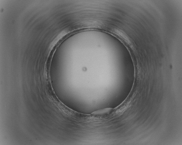 X0000074260883200609081733