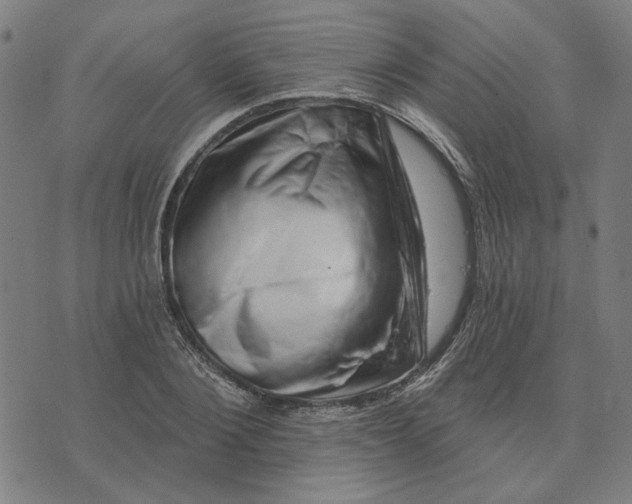 X0000074260884200609081733