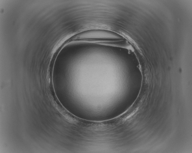 X0000074260885200609081733