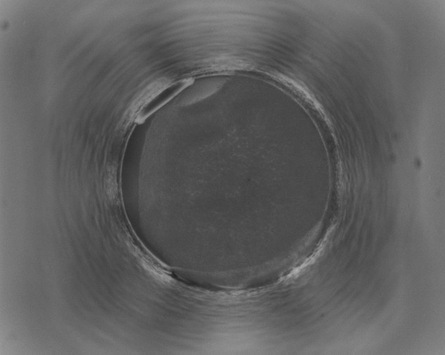 X0000074260889200609081733