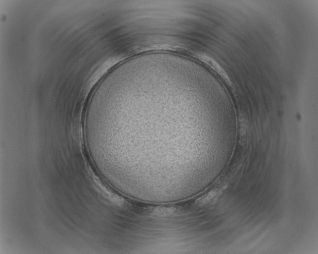 X0000074260890200609081733