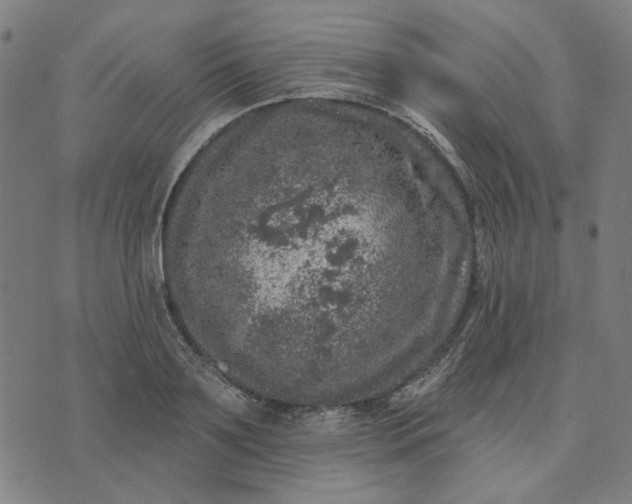 X0000074260891200609081733