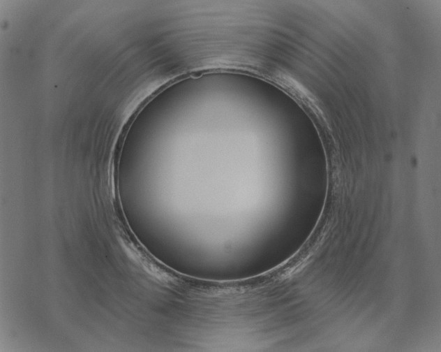 X0000074260892200609081733