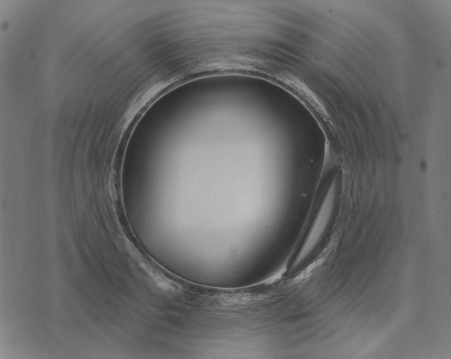 X0000074260893200609081733