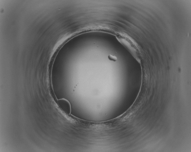 X0000074260894200609081733