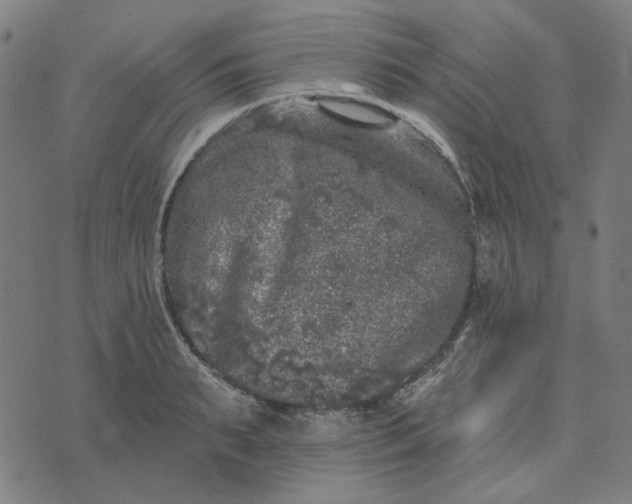 X0000074260895200609081733