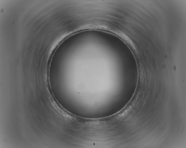 X0000074260896200609081733