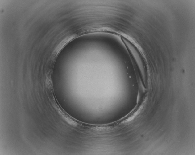 X0000074260897200609081733