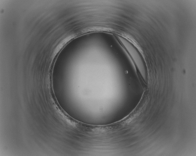 X0000074260898200609081733