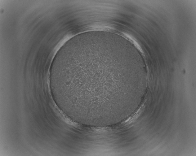 X0000074260899200609081733